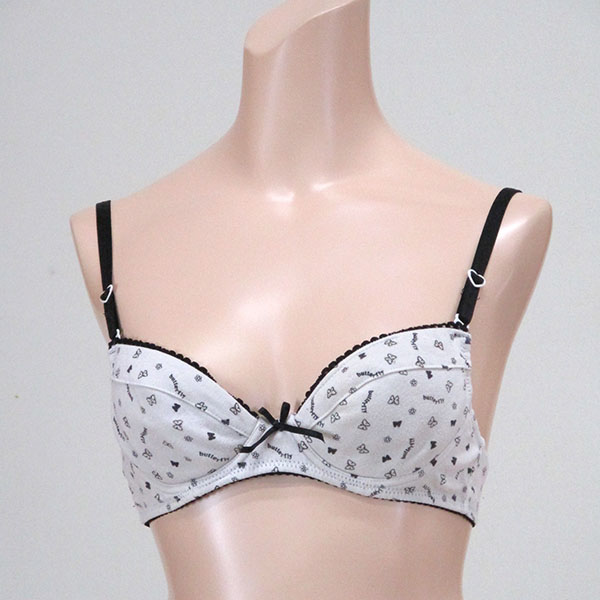ブラジャー