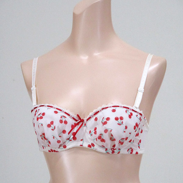 ブラジャー