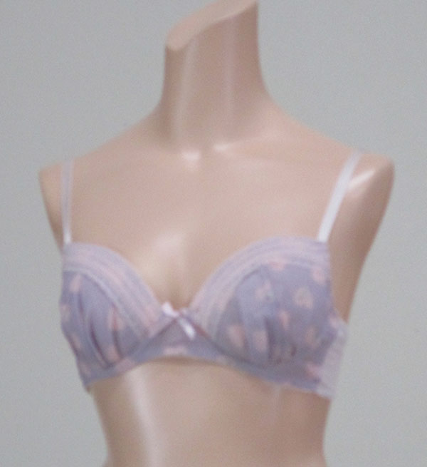 ブラジャー