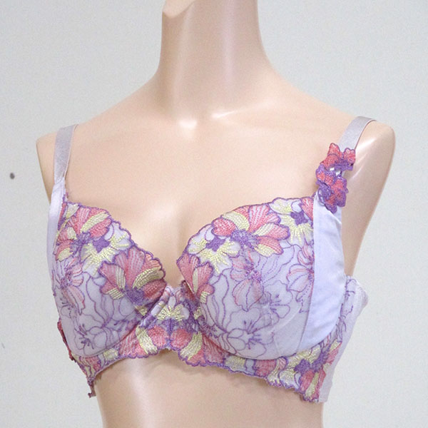 巨乳ブラジャー