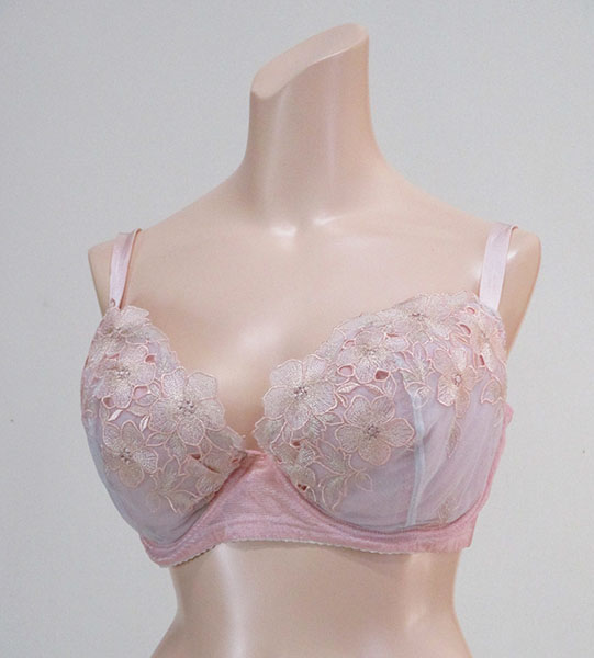 巨乳ブラジャー