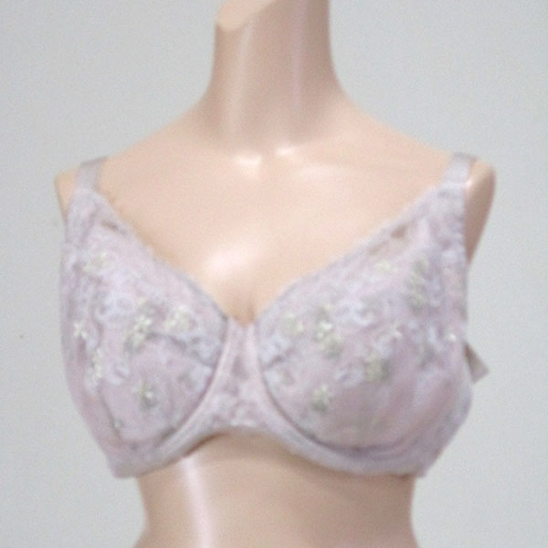 巨乳ブラジャー